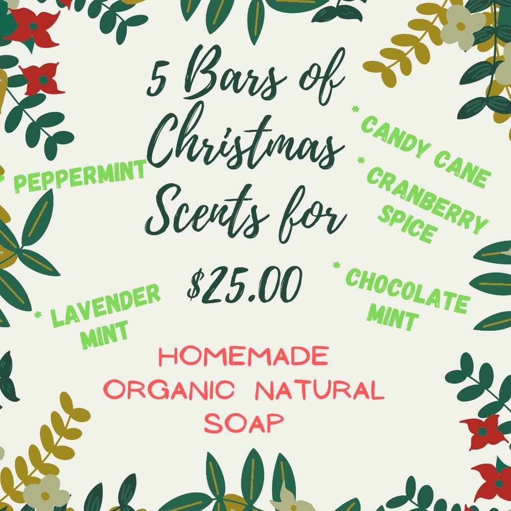 HOMEMADE Organic Natural Soap (Christmas Special Bundle)